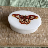 Atlas Moth White Oval Soapstone Trinket Jewelry Box, 3"