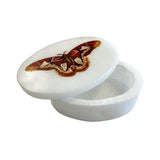 Atlas Moth White Oval Soapstone Trinket Jewelry Box, 3"
