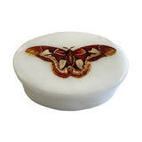 Atlas Moth White Oval Soapstone Trinket Jewelry Box, 3"