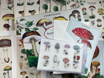 Mushrooms Stationery Set