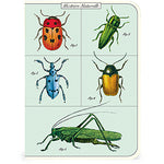 Bugs & Insects Mini Notebooks