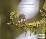 Owl: A Year in the Lives of North American Owls by Paul Bannick