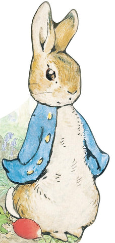 All about Peter Rabbit Board Book