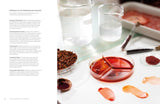 The Natural Pigment Handbook: A Maker's Guide to the Art, Stories and Recipes for Creating Paint by Lucy Mayes