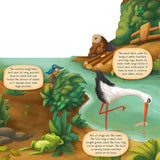 Discovering the World of Nature Along the Riverbank (Peek Inside) by Petra Bartiková