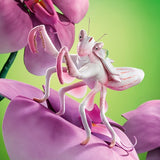 Orchid Mantis Hand Puppet