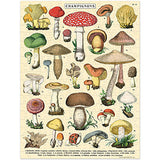 Mushrooms 240 Piece Cavallini Mini Puzzle