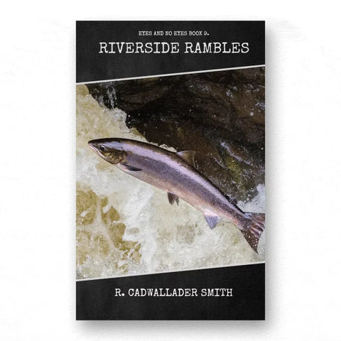Riverside Rambles(Eyes and No Eyes Book 9) by R. Cadwallader Smith