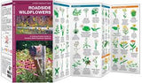 Roadside Wildflowers: A Folding Pocket Guide to Familiar North American Species