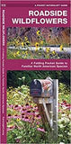 Roadside Wildflowers: A Folding Pocket Guide to Familiar North American Species