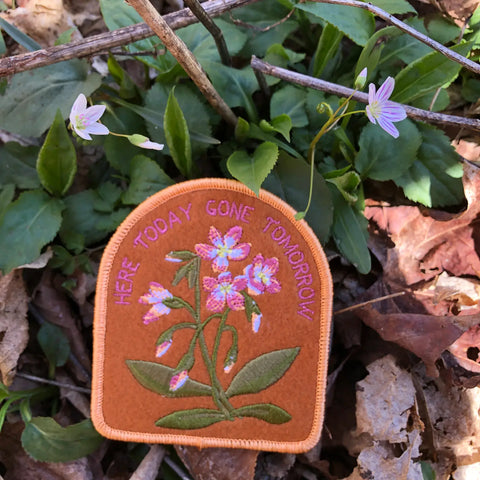 Spring Beauty Iron-On Patch