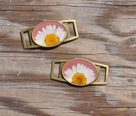 Pressed Flower Shoe Buckle, Daisy on Pink, Antique Bronze