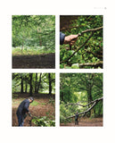 Slingshots & Key Hooks: 15 Everyday Objects Made from Foraged and Gathered Wood by Geoffrey Fisher