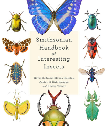 Smithsonian Handbook of Interesting Insects by Blanca Huertas