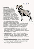 Self-Sufficiency: Spinning, Dyeing and Weaving: Essential Guide for Beginners by Penny Walsh
