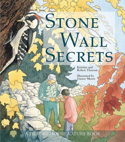 Stone Wall Secrets by Kristie Thorson