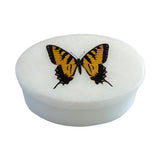 Tiger Swallowtail Butterfly White Oval Soapstone Box, 3"