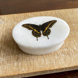 Eastern Black Swallowtail Butterfly Oval Soapstone Jewelry Box