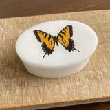 Tiger Swallowtail Butterfly White Oval Soapstone Box, 3"