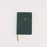 NLT Compact Bible: Jerusalem Theme