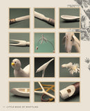 Little Book of Whittling Gift Edition: Passing Time on the Trail, on the Porch, and Under the Stars (Special) by Chris Lubkemann