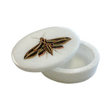 Sphinx Moth White Oval Soapstone Jewelry Box