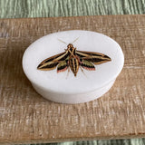 Sphinx Moth White Oval Soapstone Jewelry Box
