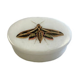 Sphinx Moth White Oval Soapstone Jewelry Box