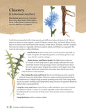 A Guide to Wild Food Foraging: Proper Techniques for Finding and Preparing Nature's Flavorful Edibles by David Squire