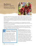 A Guide to Wild Food Foraging: Proper Techniques for Finding and Preparing Nature's Flavorful Edibles by David Squire
