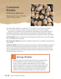 A Guide to Wild Food Foraging: Proper Techniques for Finding and Preparing Nature's Flavorful Edibles by David Squire