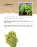 A Guide to Wild Food Foraging: Proper Techniques for Finding and Preparing Nature's Flavorful Edibles by David Squire