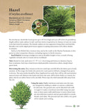 A Guide to Wild Food Foraging: Proper Techniques for Finding and Preparing Nature's Flavorful Edibles by David Squire