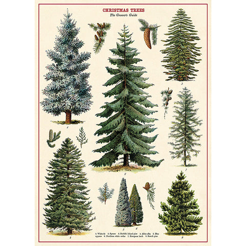 Christmas Trees Wrap/Poster