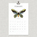 2023 Calendar: Butterflies & Moths (Small)