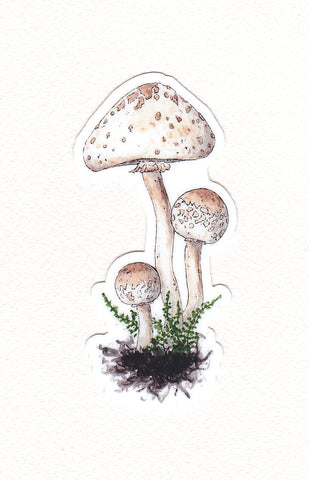 Cream Colored Mushrooms Waterproof Stickers