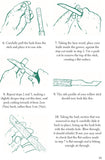 50 Things to Do with a Penknife: Cool Craftsmanship and Savvy Survival-Skill Projects