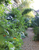 Leaves, Roots & Fruit: A Step by Step Guide to Planting an Organic Kitchen Garden