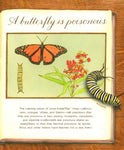A Butterfly is Patient by Dianna Aston