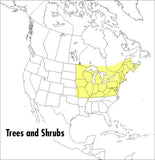 A Field Guide to Trees and Shrubs: NE and North-Central United States and SE and South-Central Canada