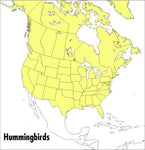 Hummingbirds of North America (Peterson Field Guide)