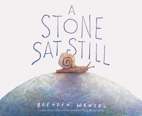 A Stone Sat Still by Brandon Wenzel