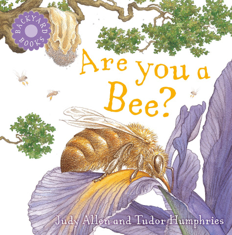 Are You a Bee? by Judy Allen