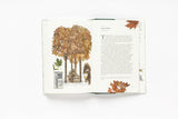 Around the World in 80 Trees by Jonathan Drori