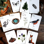 Backyard Nature Alphabet Flashcards