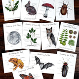 Backyard Nature Anatomy Learning Cards