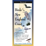 Birds of the New England Coast (Folding Guides)