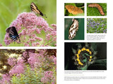 Bringing Nature Home: How You Can Sustain Wildlife with Native Plants (Revised)