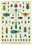 Bugs & Insects Wrap