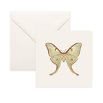 Butterflies: Luna Moth Card